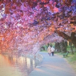 Meet your Posher, Ruth